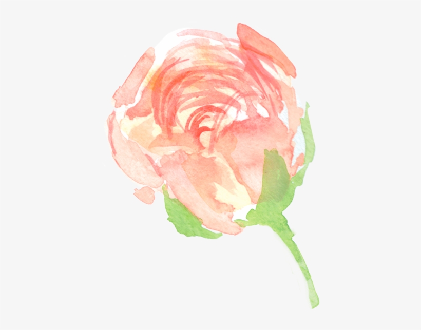 Garden Roses, transparent png download