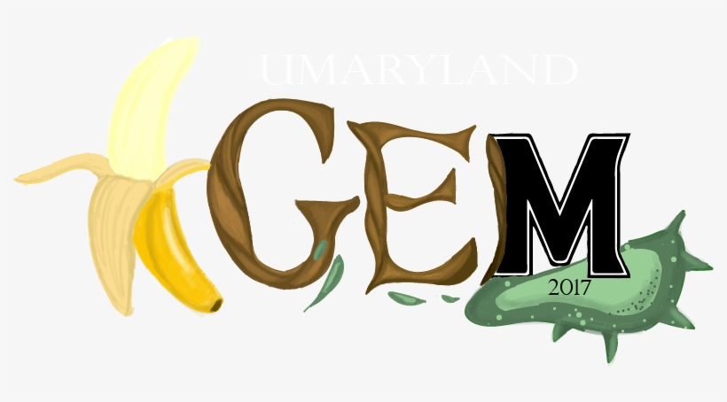 Logo, transparent png download