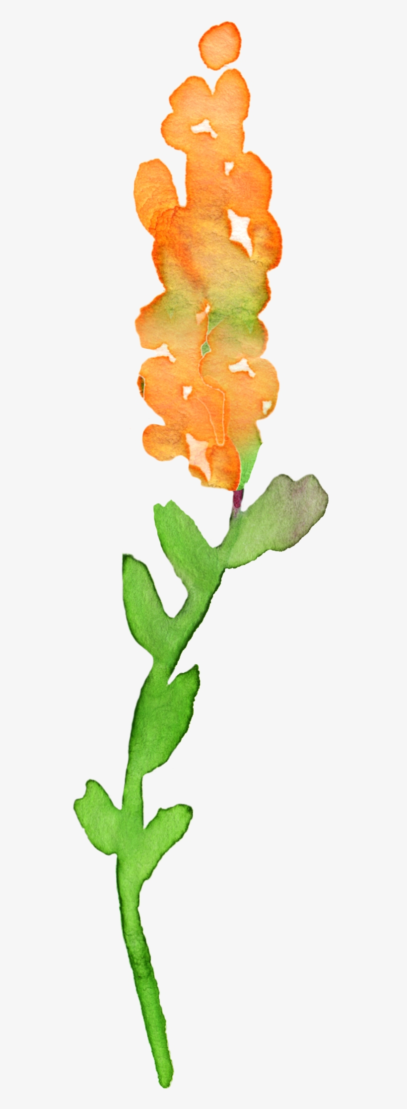 Fall Clipart Watercolor - Watercolor Flower Clipart Transparent, transparent png download