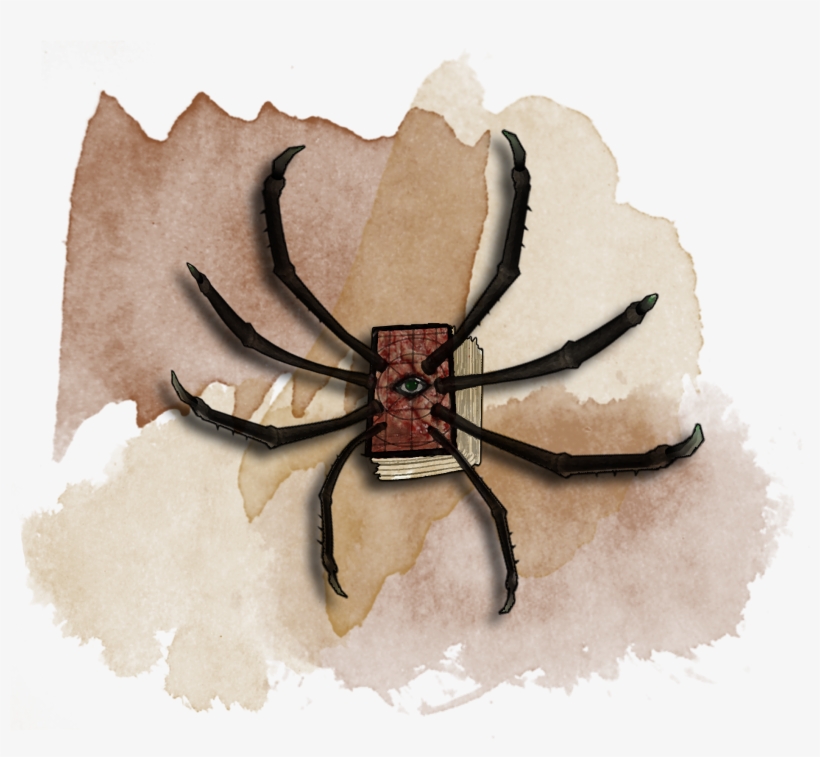 If The Spider Dies Before Returning To You, It Returns - Human Body Louse, transparent png download