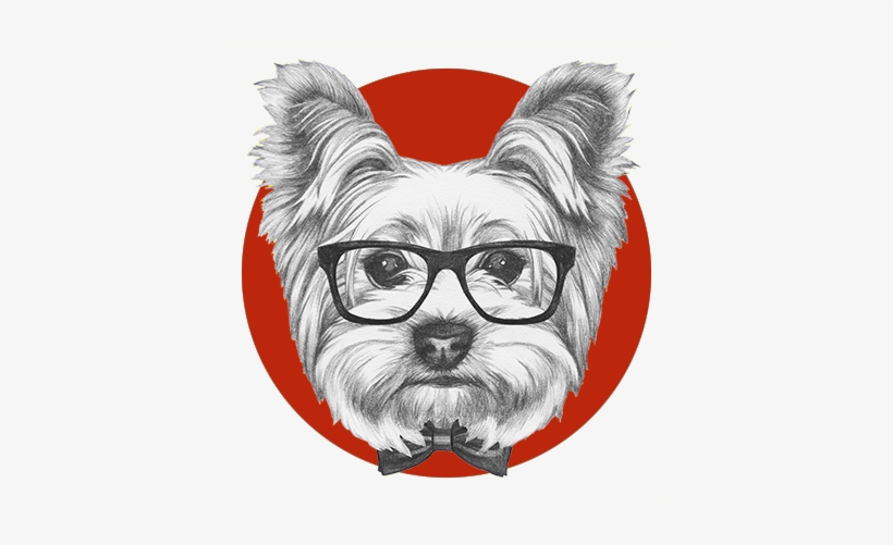 Regina Dog Grooming Student - Yorkshire Dog Glasses, transparent png download