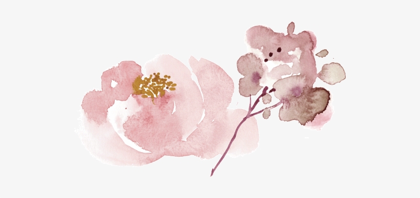 Il Nido - Garden Roses, transparent png download