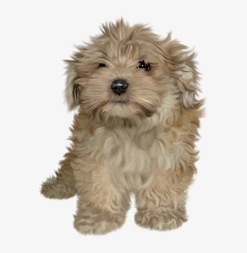 Puppies Png Download Image - Puppy Png, transparent png download