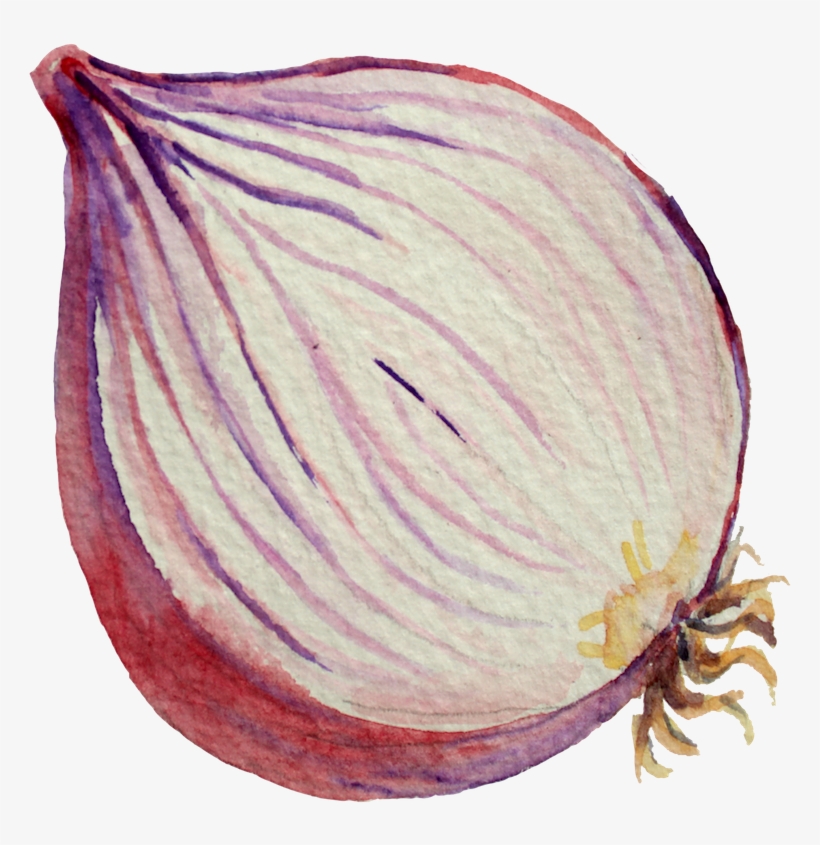 Spaghetti - Watercolor Painting, transparent png download