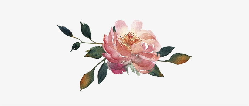 Bridals Can Be Done With Just The Bride Or The Happy - Coral Water Color Flower Transparent, transparent png download