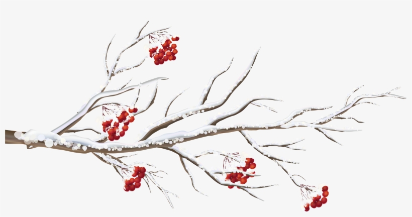 Branch Png, transparent png download