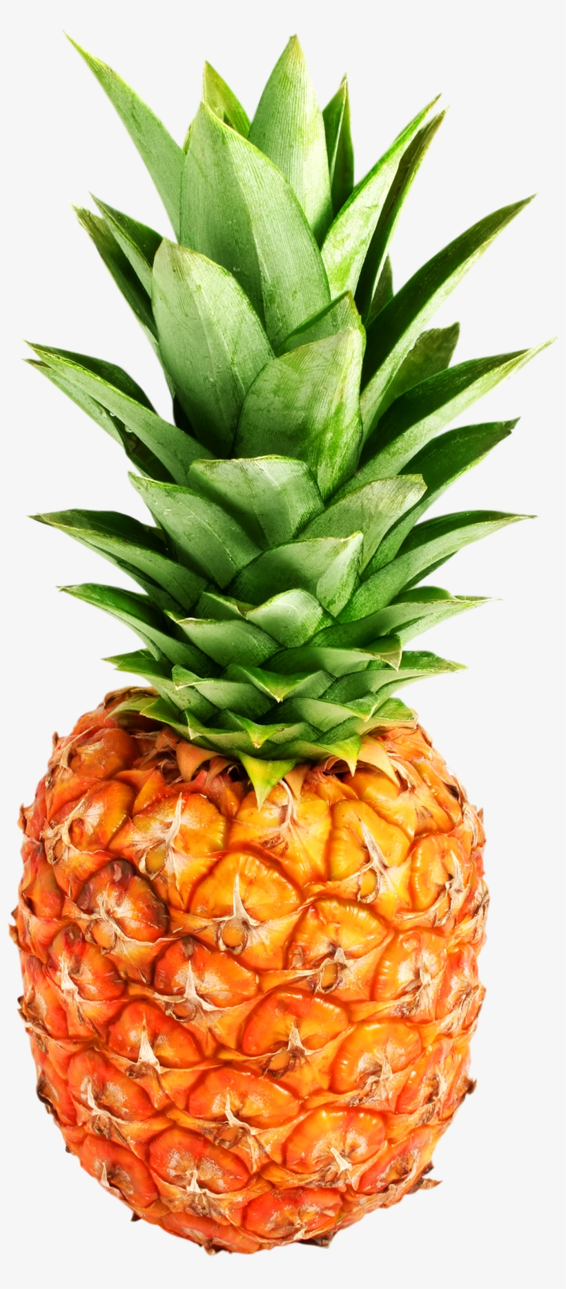 Pineapple Png Image - Pineapple Png, transparent png download