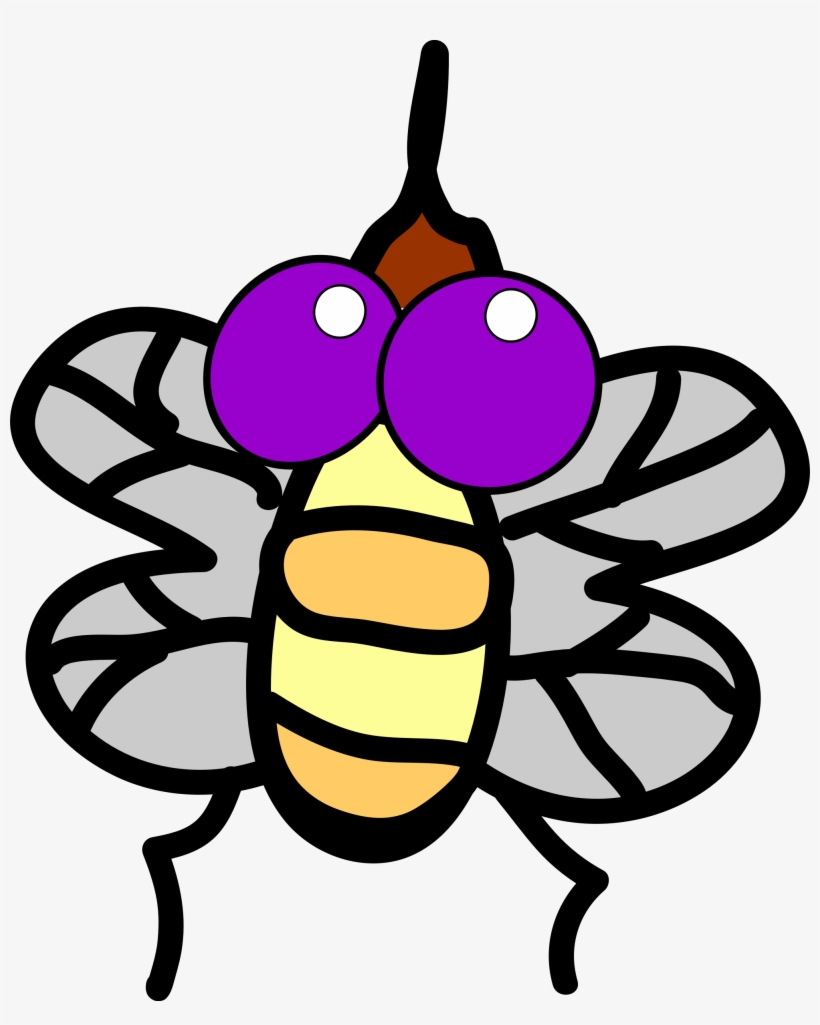 Fly Png, transparent png download