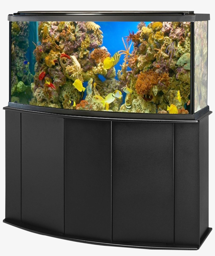 Aquarium Fish Tank Png Image - Aquarium Fish Tank Png, transparent png download