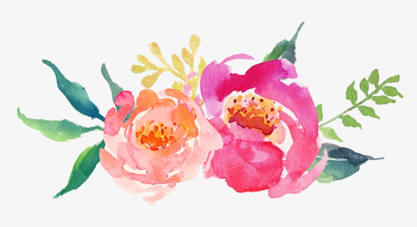 Watercolor Peonies Png Flor Watercolor Png Transparent Png 800x450 Free Download On Nicepng