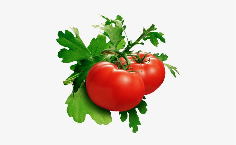 Tomato Png Pic - Phytoene And Phytofluene, transparent png download