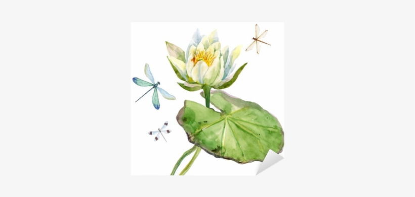 Lotus Watercolor, transparent png download