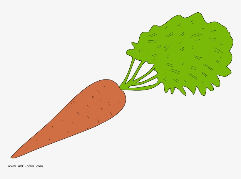 Морква Малюнок, transparent png download