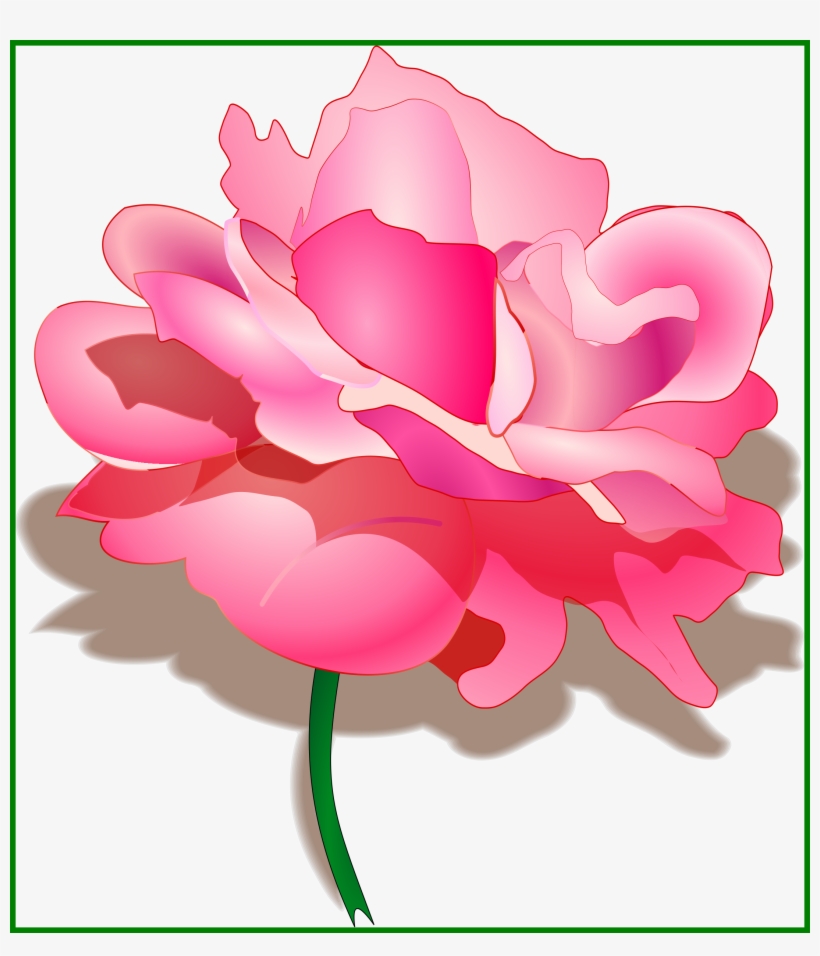 The Best Watercolor Peonies Clipart Now Available Pretty - Peony Clipart Transparent Background, transparent png download