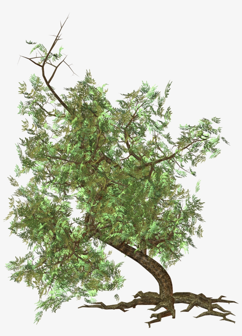Tree Png Image - Saving Nature. Wall Clock - By Viviana Gonzalez, transparent png download