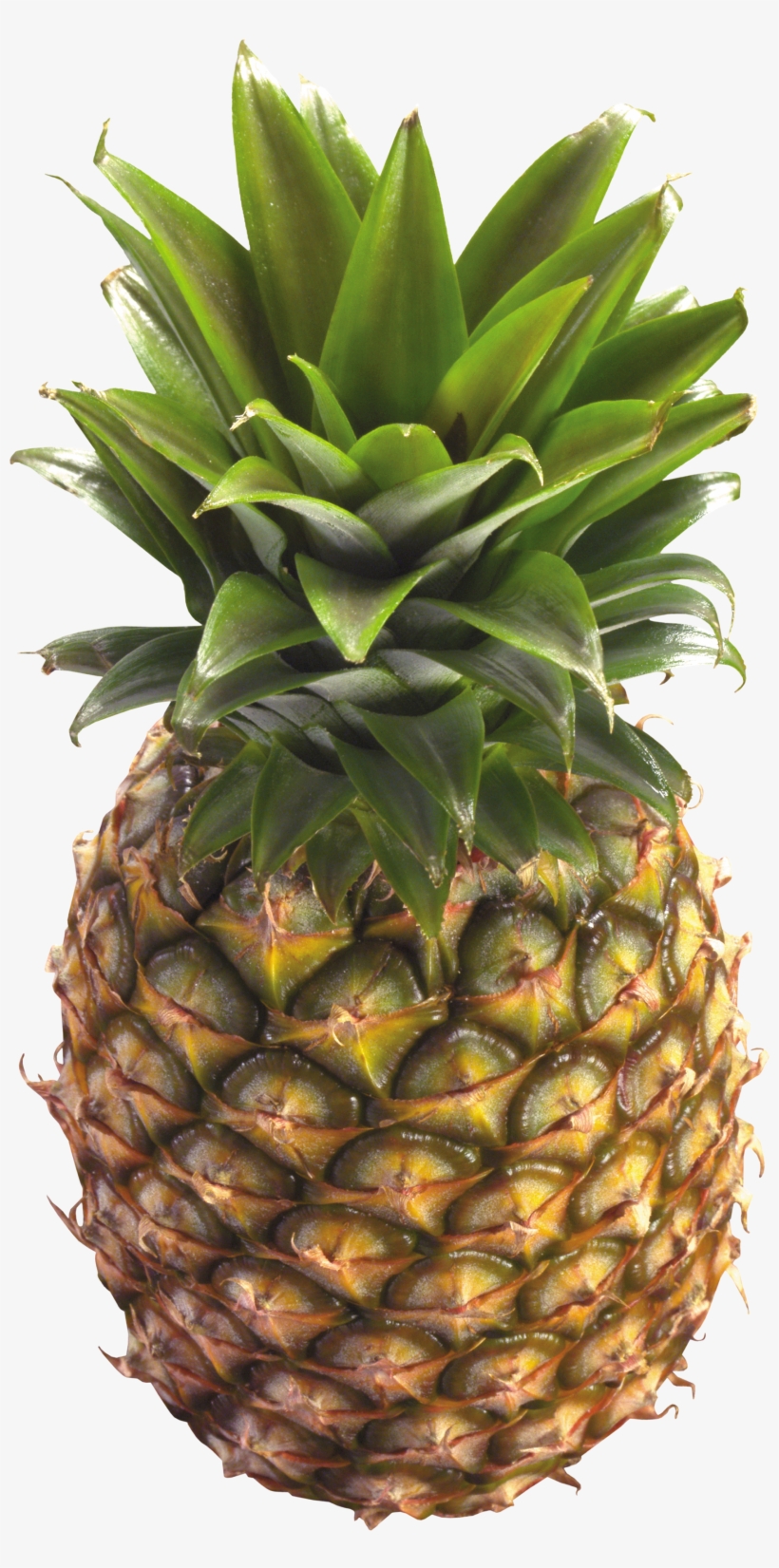 Pineapple Png, transparent png download