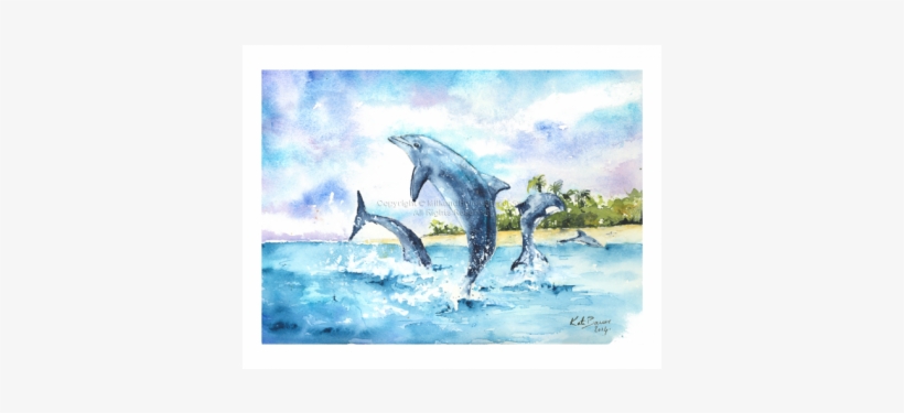 Bottlenose Dolphin, transparent png download