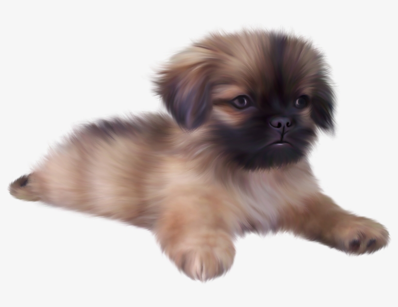 Puppy With Transparent Background, transparent png download