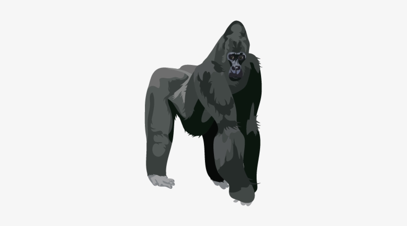 201502 Gorilla - Gorilla Png, transparent png download
