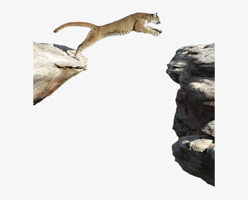 Click And Drag To Re-position The Image, If Desired - Stoat, transparent png download