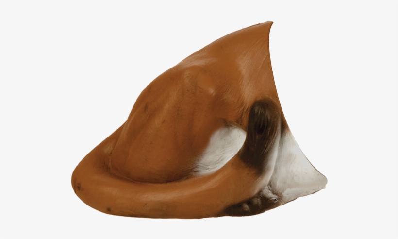 Mountain Lion Rear - Freshwater Whipray, transparent png download