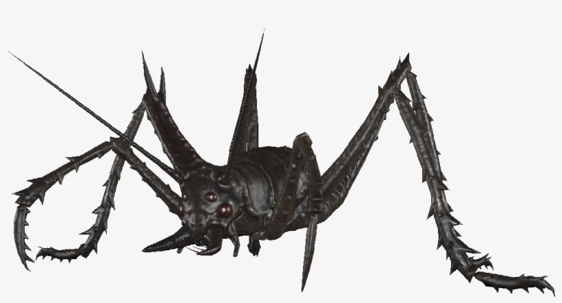 Cave Cricket Hunter - Black Widow, transparent png download
