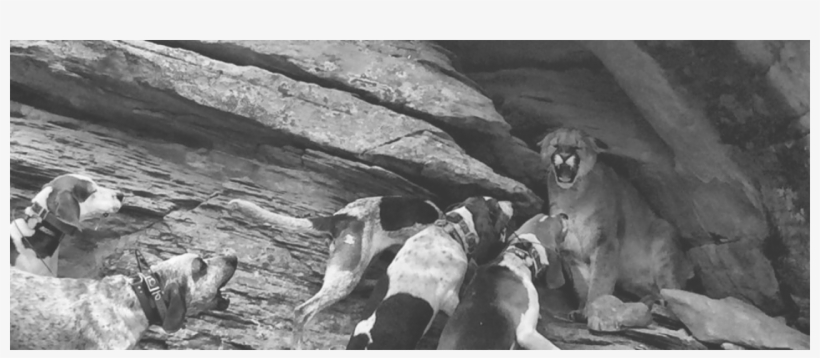 Outfitter, transparent png download