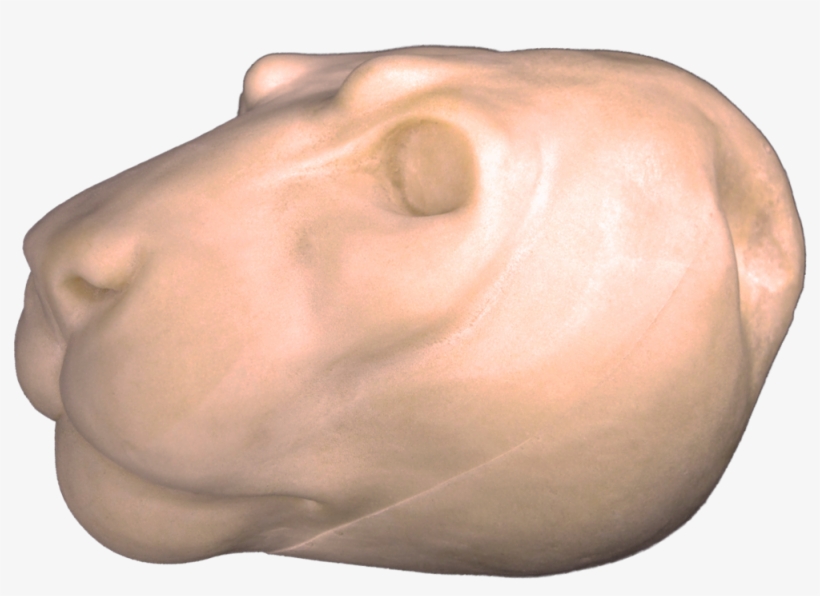 Mountain Lion Change-out Heads - Lion, transparent png download