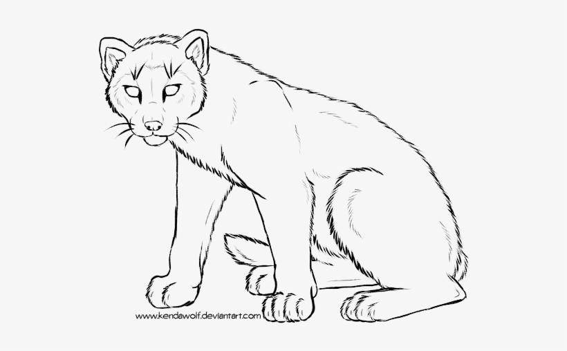Cougar Line At Getdrawings Com Free For - Line Art, transparent png download