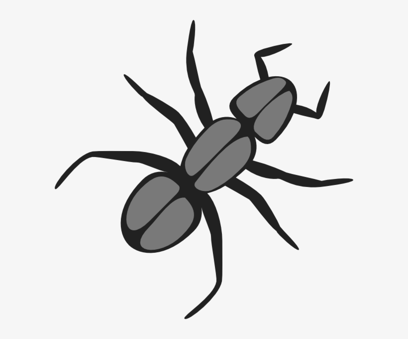 Ant Clip Art At Clker Com Vector - Ant Clip Art, transparent png download