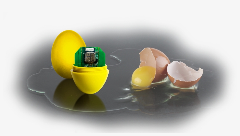 Measure The Impact Your Eggs Are Receiving During Processing - Still Life Photography, transparent png download