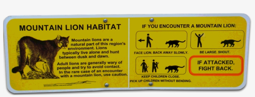 Mountain Lion Warning - Windy Hill, transparent png download