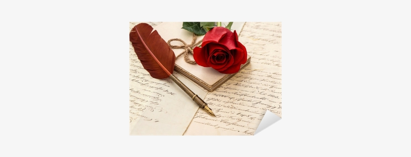 Red Rose Flower, Old Letters And Antique Feather Pen - Special Thanks To Love, transparent png download