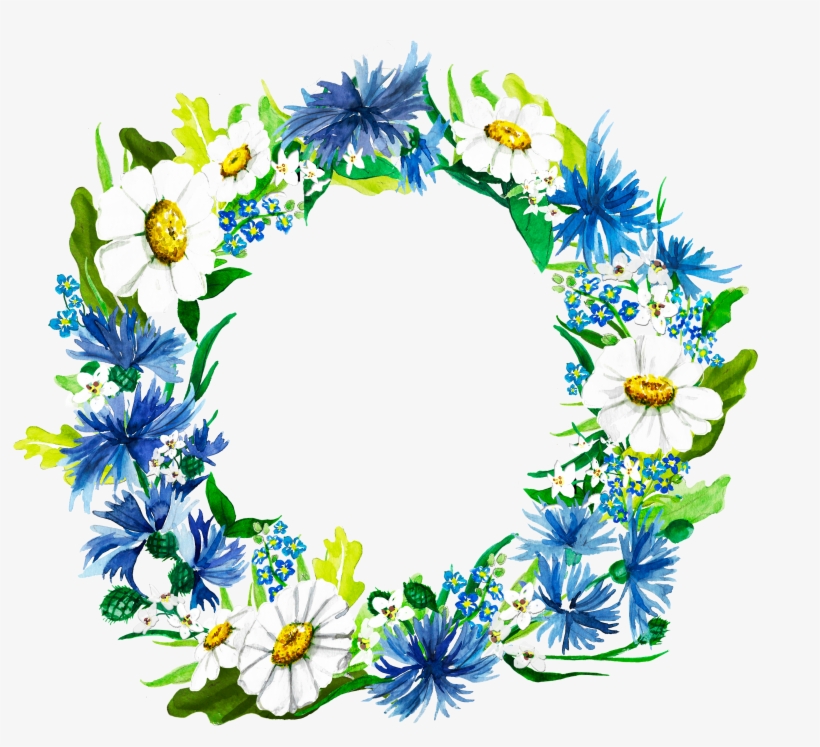 Watercolor Wreath Made Of The Bluebottle, Margaret - African Daisy, transparent png download