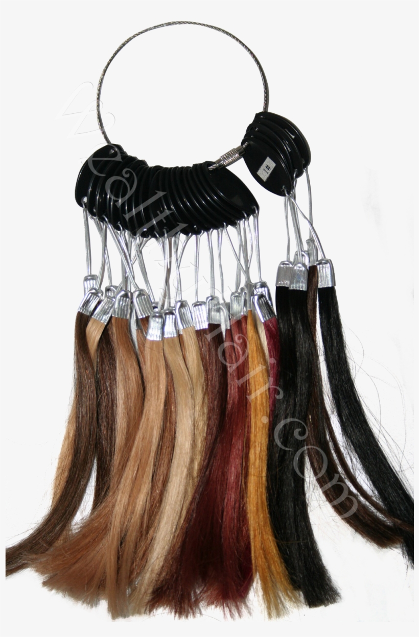 P 35717 Lace Wig Color Ring - Lace Wig, transparent png download
