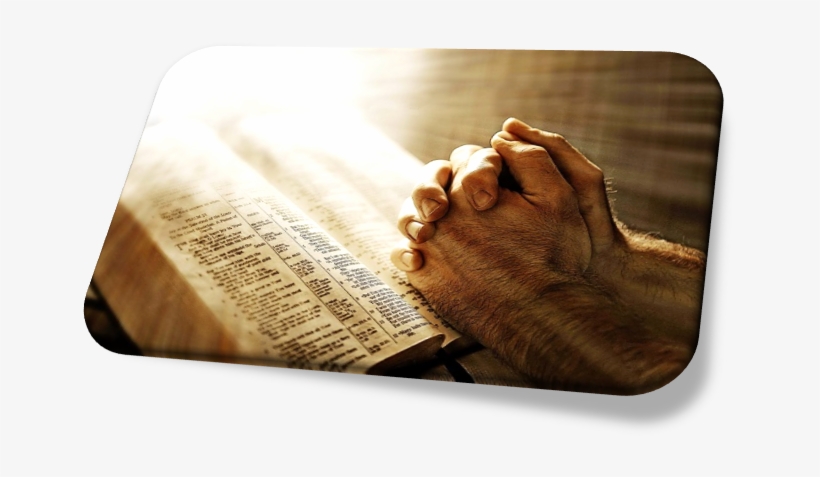 Pray For The Expansion Of His Kingdom - Gospels Are Dramas [book], transparent png download