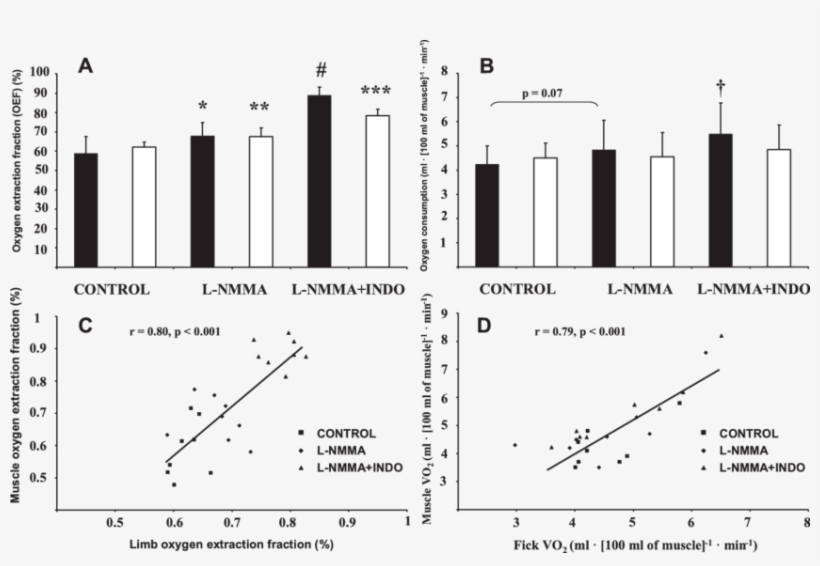 Effect Of Nos Inhibition Alone Or Nos Inhibition In - Methylarginine, transparent png download