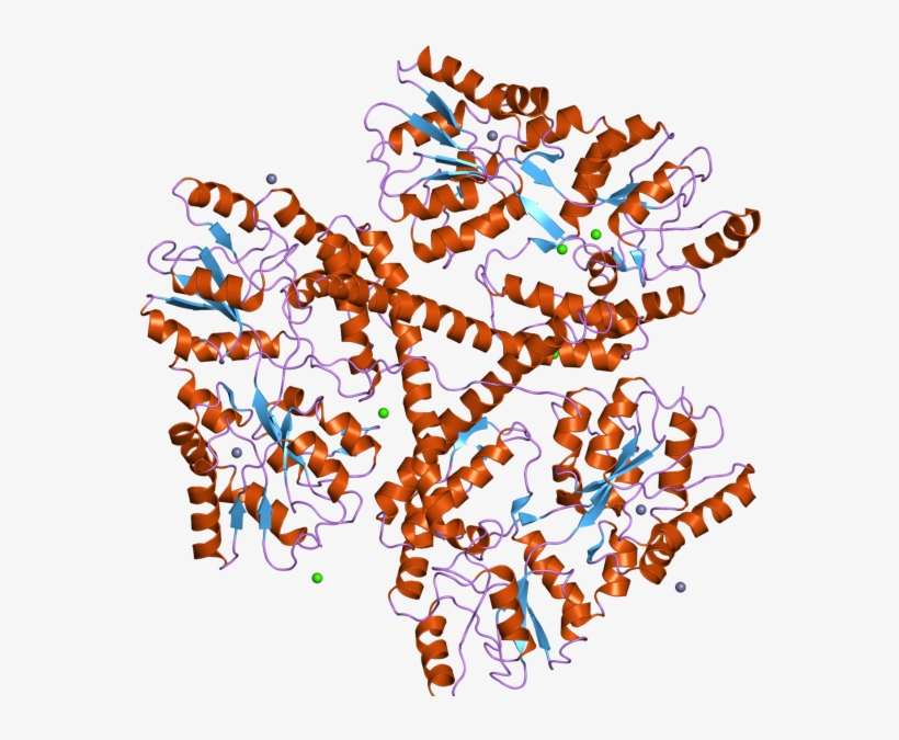 Molecular Mechanisms Involved In The Pathogenesis Of, transparent png download
