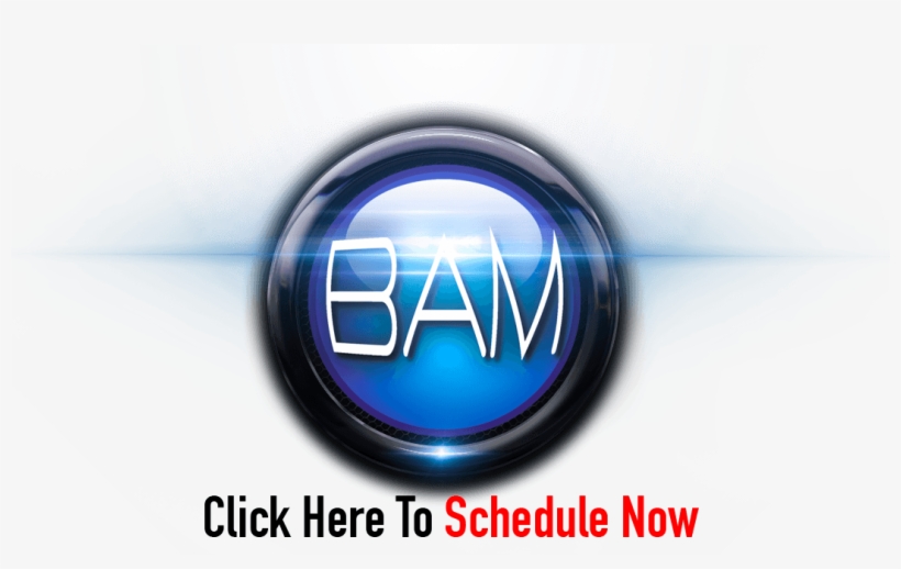 Bam Schedule Now Button - Emblem, transparent png download