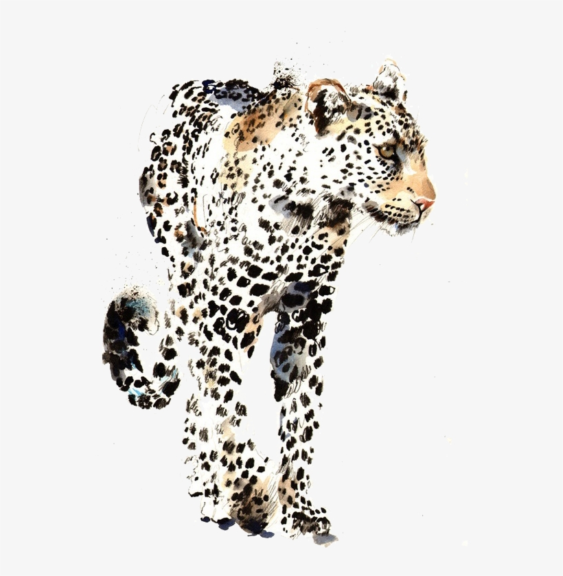 Png Library Library Saatchi Gallery Artist Watercolor - Manchas De Jaguar Dibujo, transparent png download