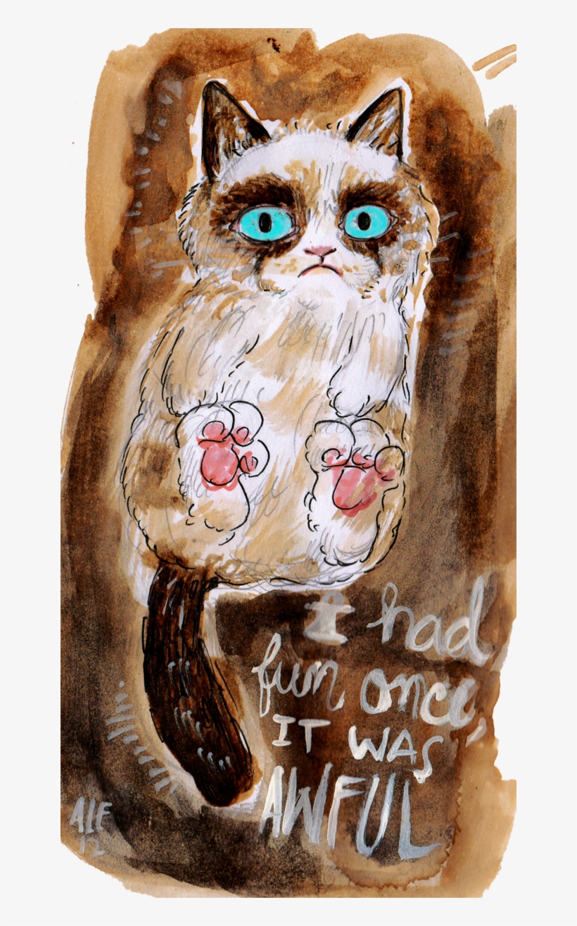 Make Art, Grumpy Cat, Rats, Inspire Me, Grumpy Kitty, - Eastern Screech Owl, transparent png download