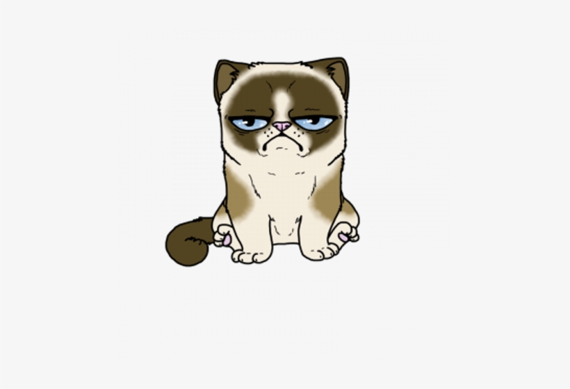 Grumpy Cat Mug, transparent png download