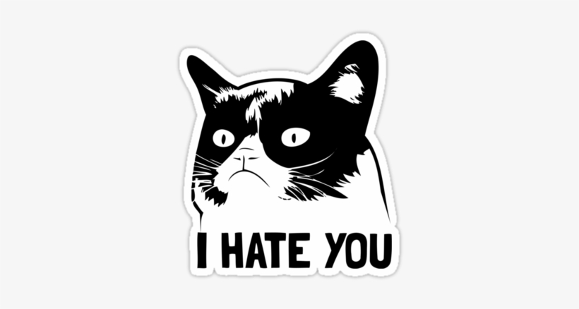 Regular Stickers Grumpy That - Love And A Turtle Pillow Case, transparent png download