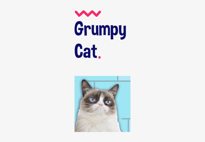 You Can Collect Emojis Or Have The Highest Ranking - Official Grumpy Cat Quotes Hard Back Case, transparent png download
