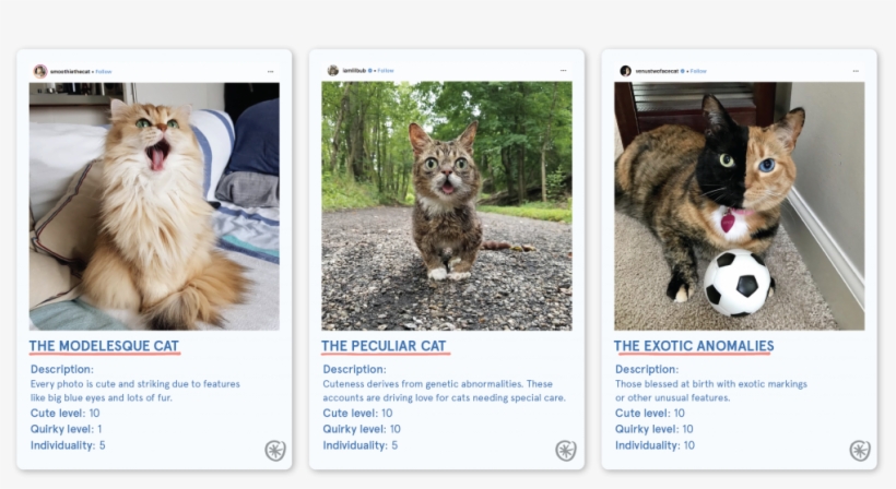 Catfluencers Types - Cat Yawns, transparent png download