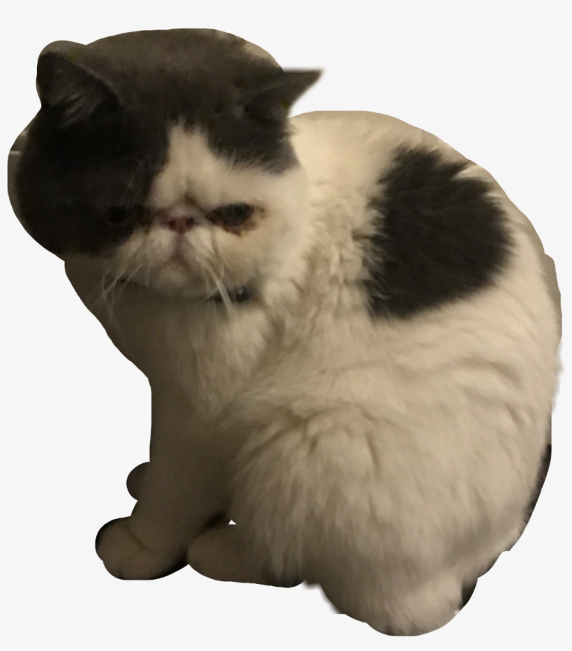 Balinese, transparent png download