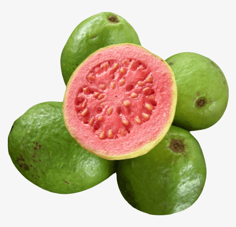 Free Png Guava Png Images Transparent - Guava Tropical Fruit Psidium Guajava Exotic Tree Seed, transparent png download