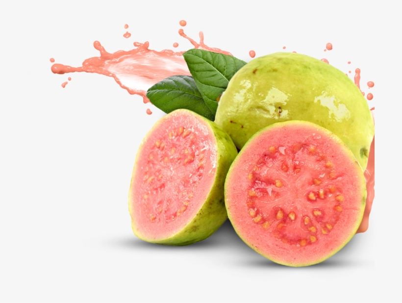 Improves Your Immunity - Guava Fruit Png, transparent png download