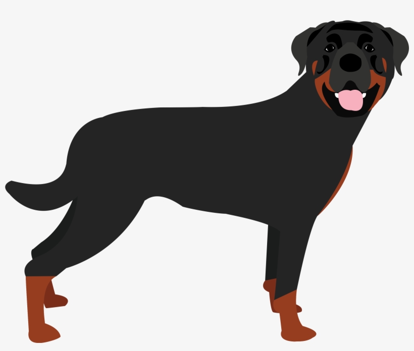 Rottweiler Base, transparent png download