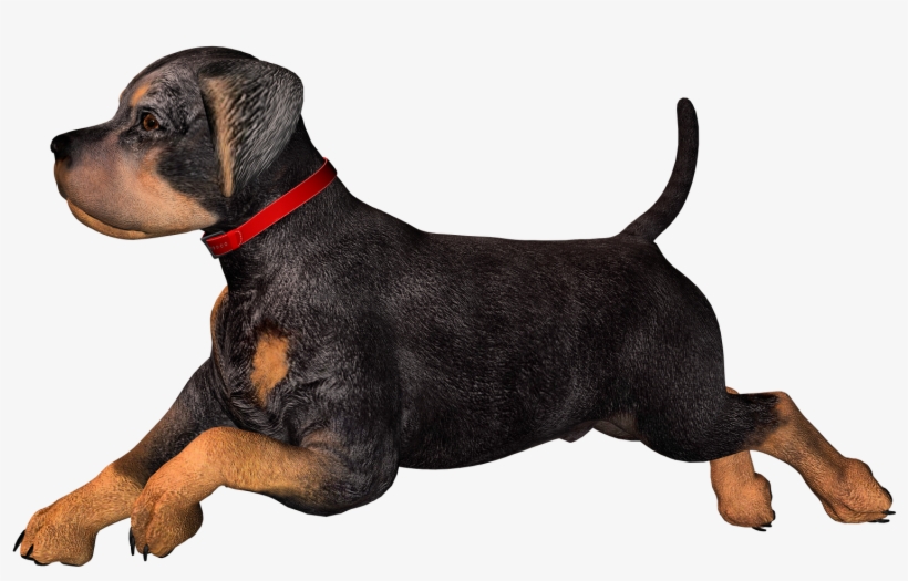 Free High Resolution Graphics And Clip Art - Dog Clip Art, transparent png download